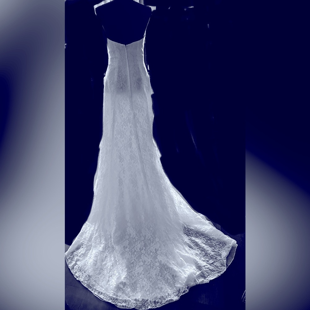 NWT Wedding Gown/Dress